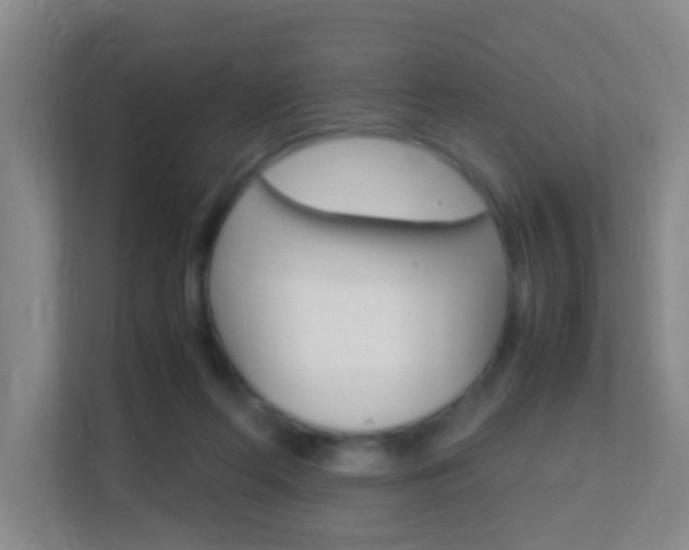 X0000113870214200909241013