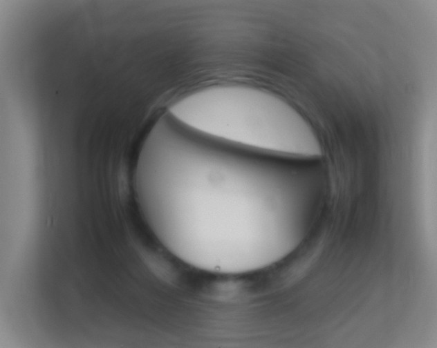 X0000113870216200909241013