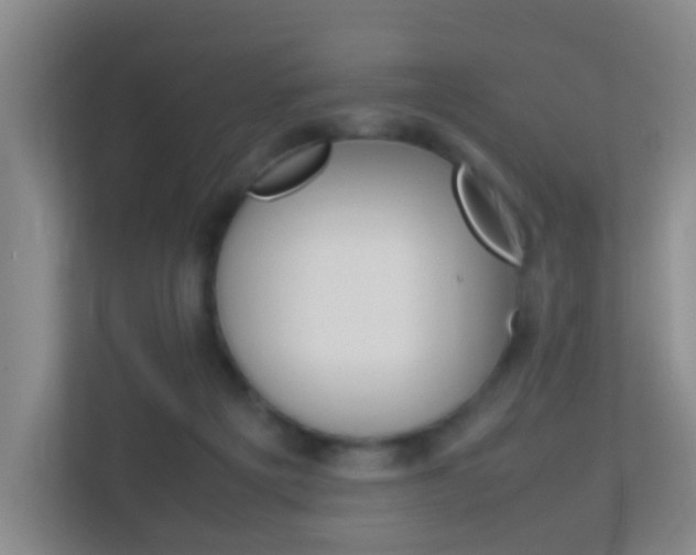 X0000113870217200909241013