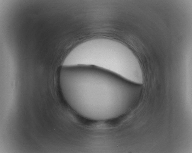 X0000113870219200909241013