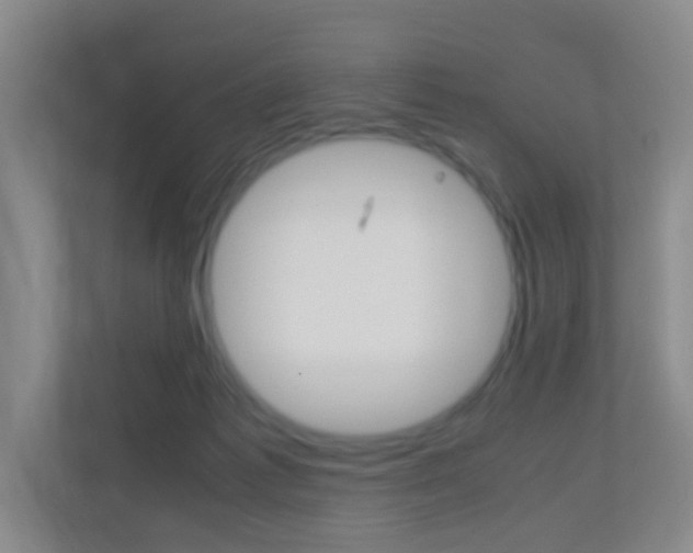 X0000113870221200909241013