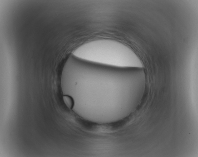 X0000113870223200909241013