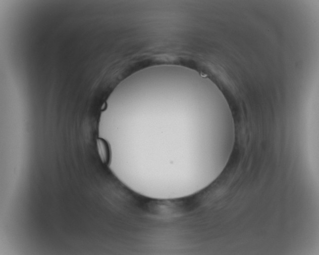 X0000113870229200909241013