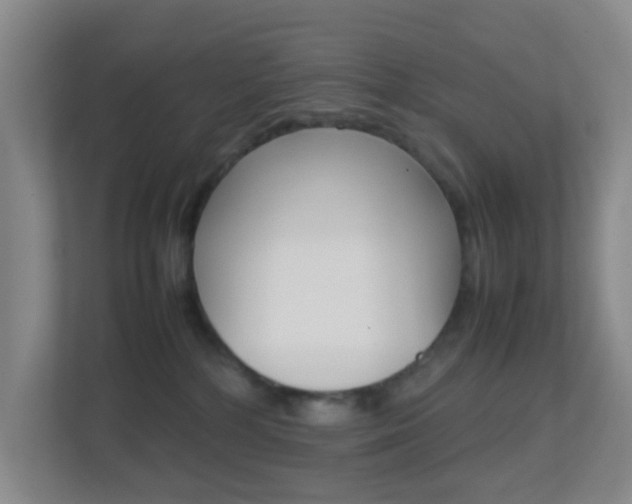 X0000113870232200909241013
