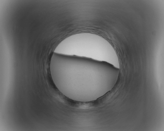 X0000113870235200909241012