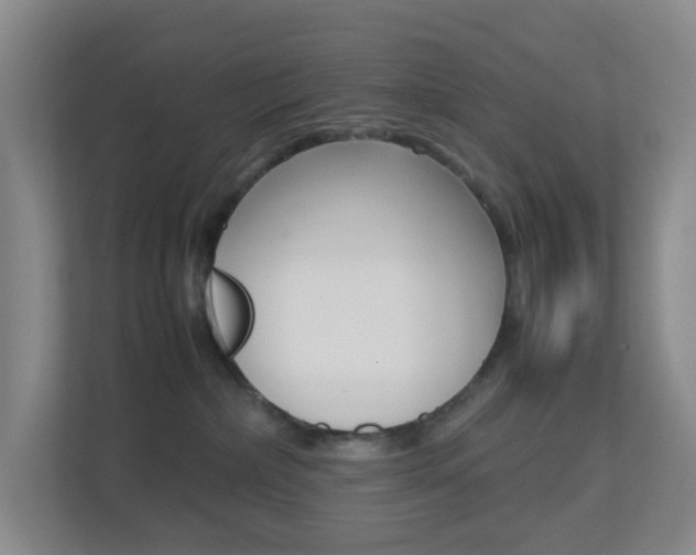 X0000113870236200909241012