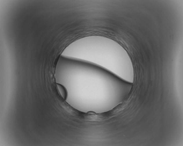 X0000113870237200909241012