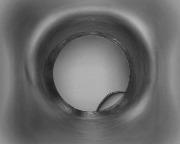 X0000113870239200909241012
