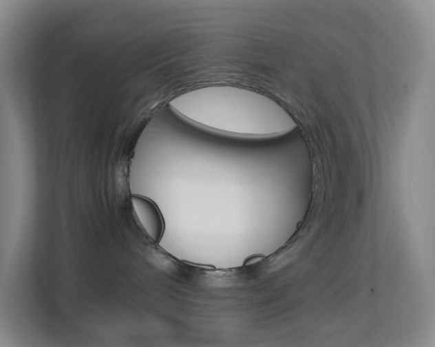 X0000113870240200909241012