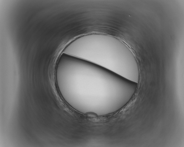 X0000113870241200909241012