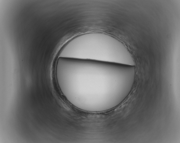 X0000113870242200909241012
