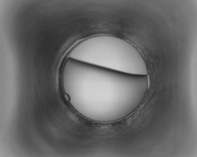 X0000113870243200909241012