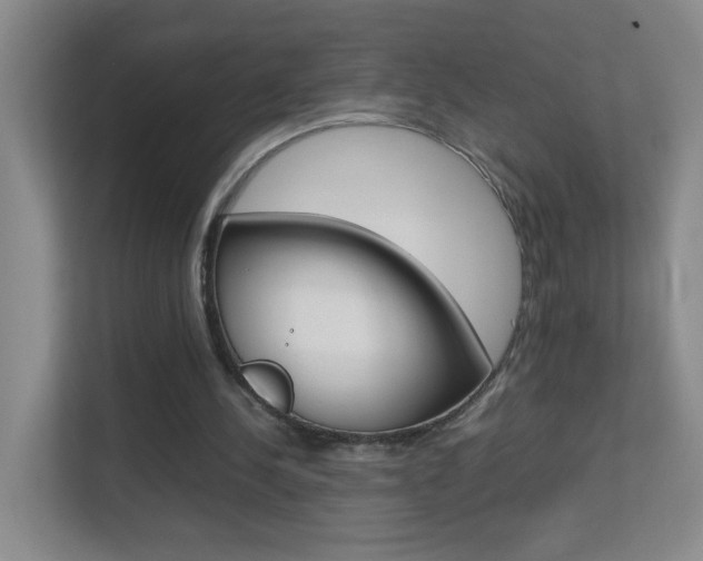 X0000113870244200909241012