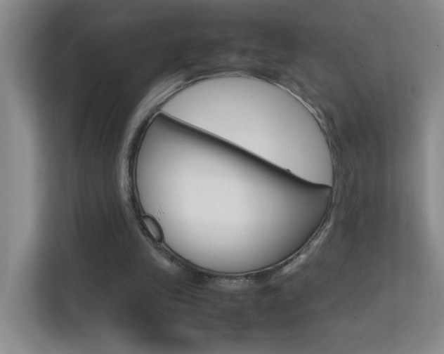 X0000113870245200909241012