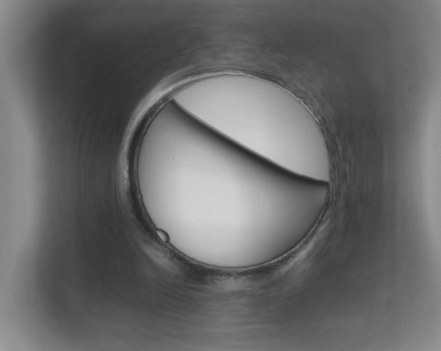 X0000113870246200909241012