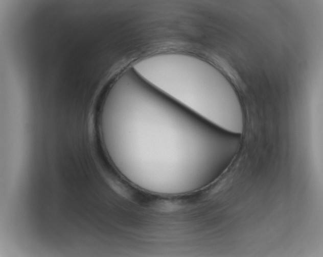 X0000113870250200909241012