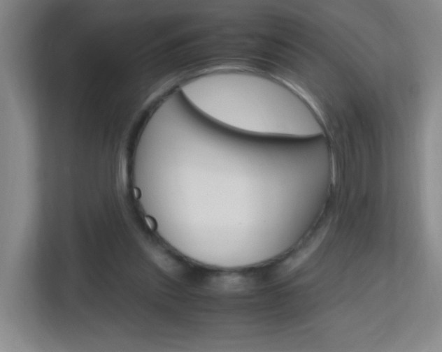 X0000113870253200909241012