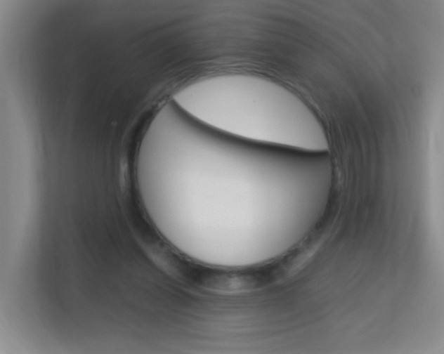 X0000113870254200909241012