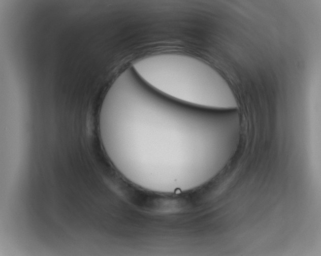 X0000113870255200909241012