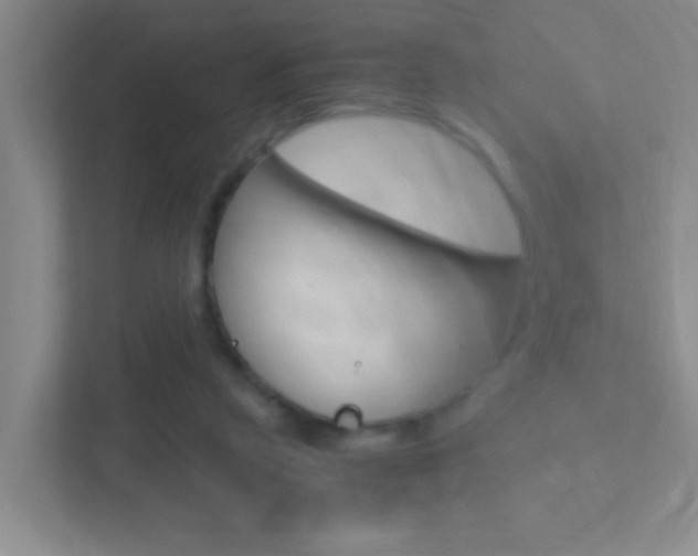 X0000113870257200909241012