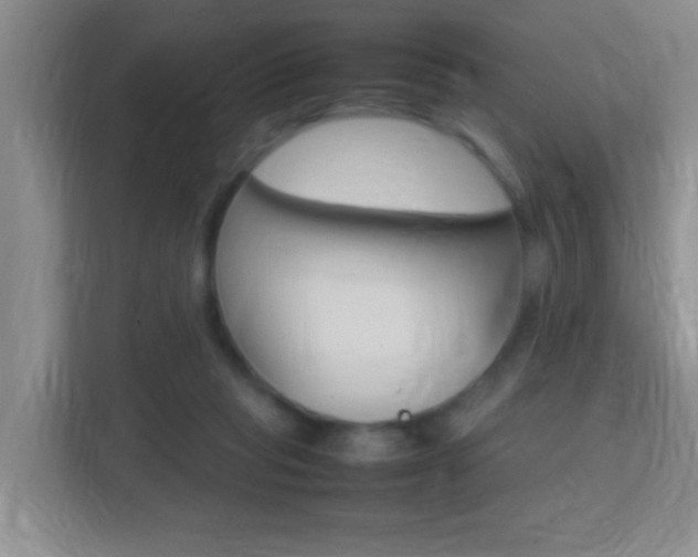 X0000113870261200909241012
