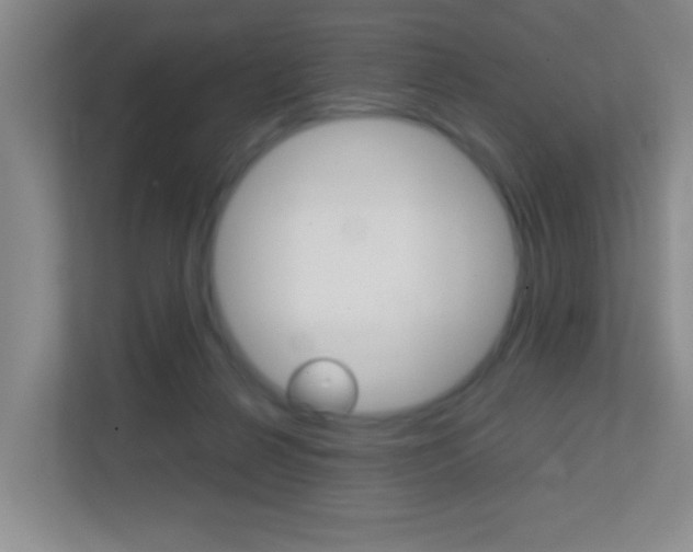 X0000113870264200909241012