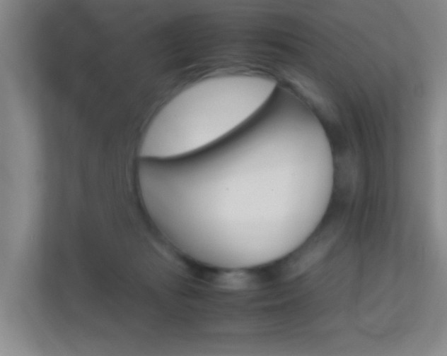X0000113870269200909241012