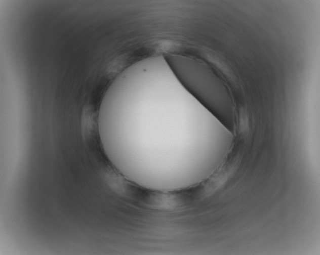 X0000113870276200909241012