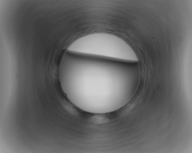 X0000113870280200909241012