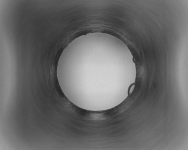 X0000113870283200909241012