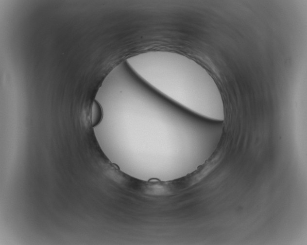 X0000113870285200909241012