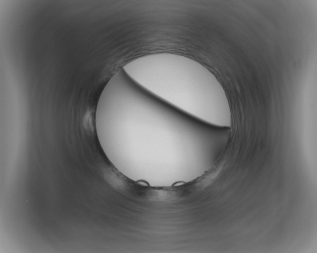 X0000113870286200909241012