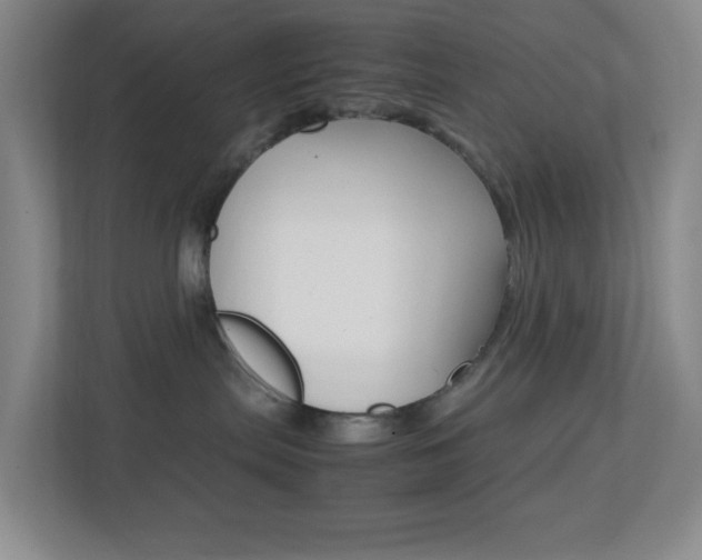 X0000113870287200909241012