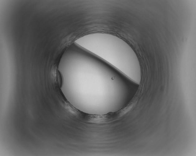 X0000113870288200909241012