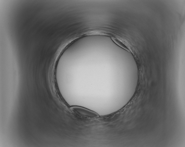 X0000113870289200909241012