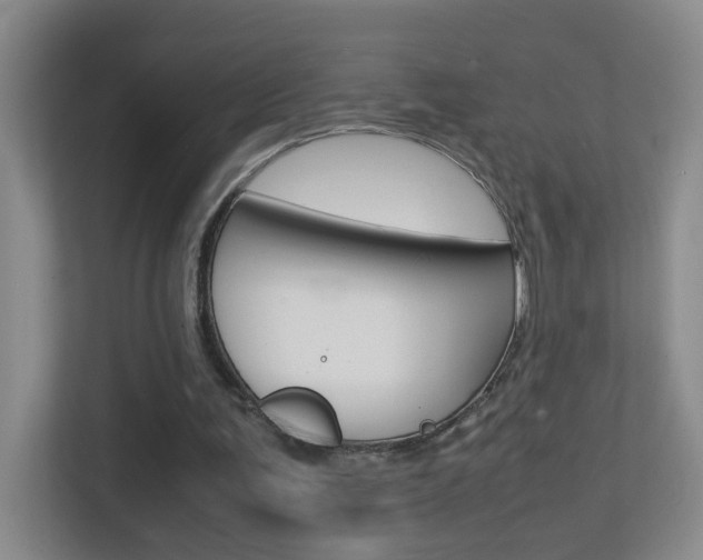 X0000113870291200909241012