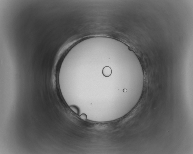 X0000113870294200909241012