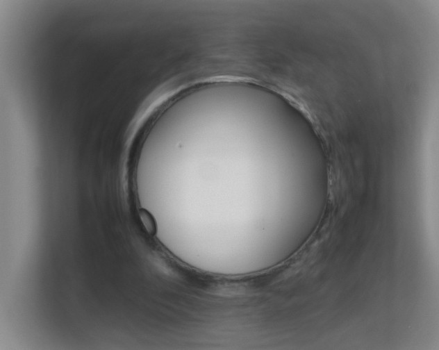 X0000113870296200909241012