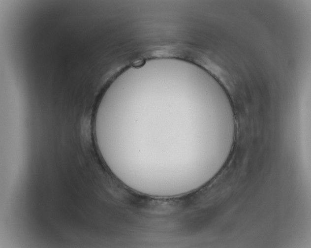 X0000113870297200909241012