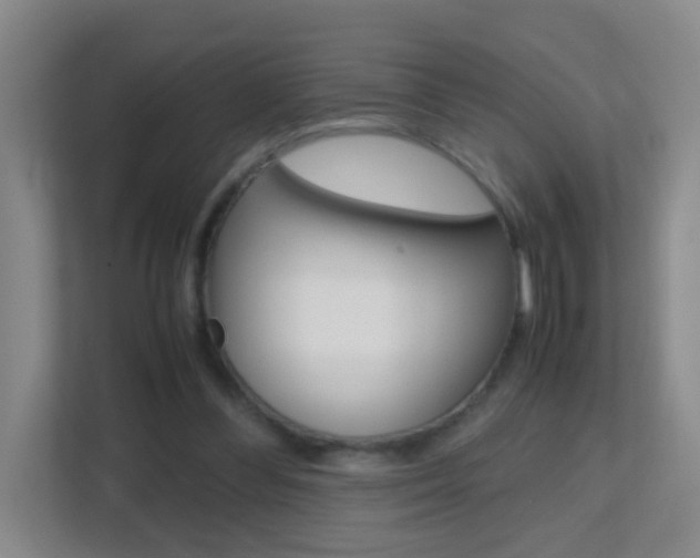 X0000113870300200909241012