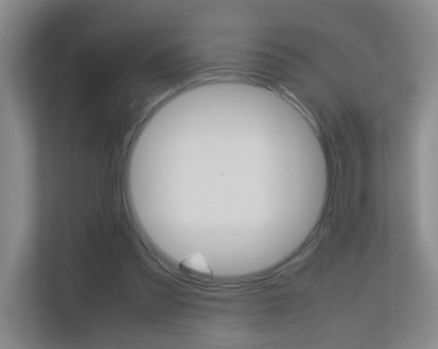 X0000113870301200909241012