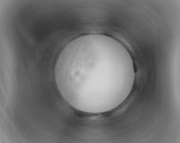 X0000113870306200909241012