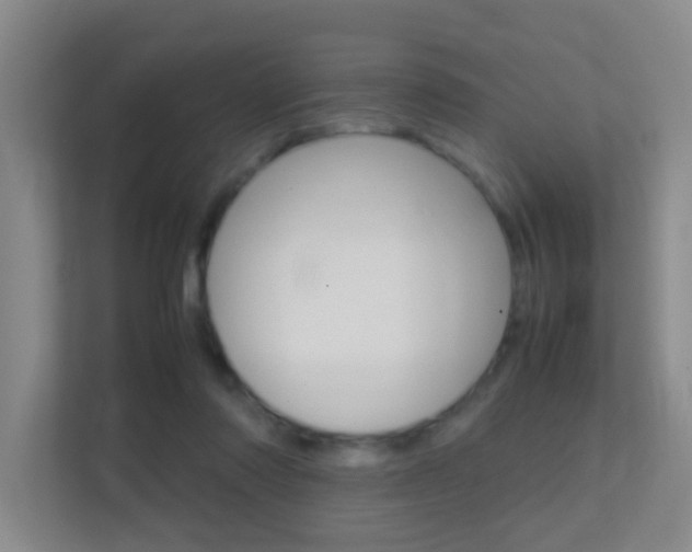 X0000113870310200909241011