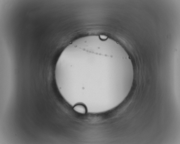 X0000113870311200909241011