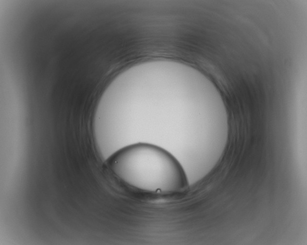X0000113870312200909241011