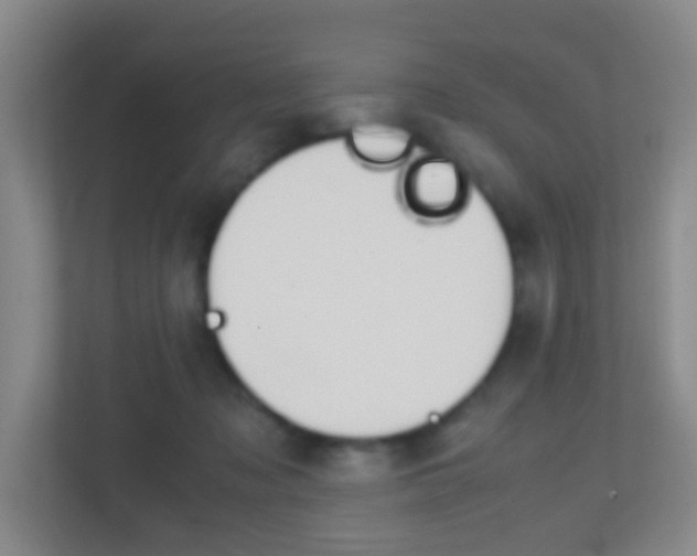 X0000113870317200909241011