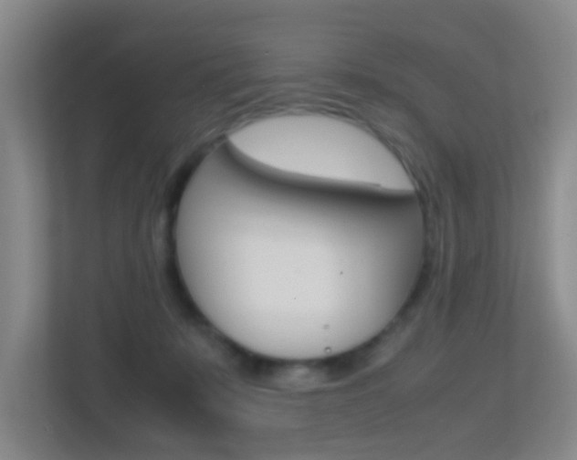 X0000113870319200909241011