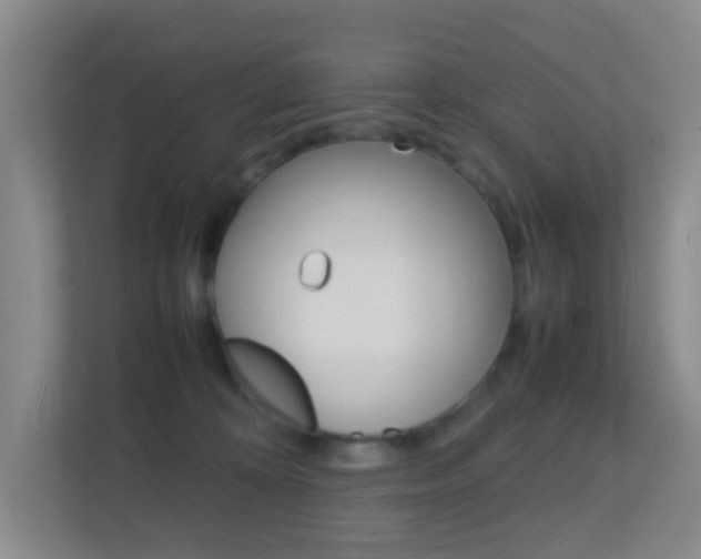 X0000113870324200909241011