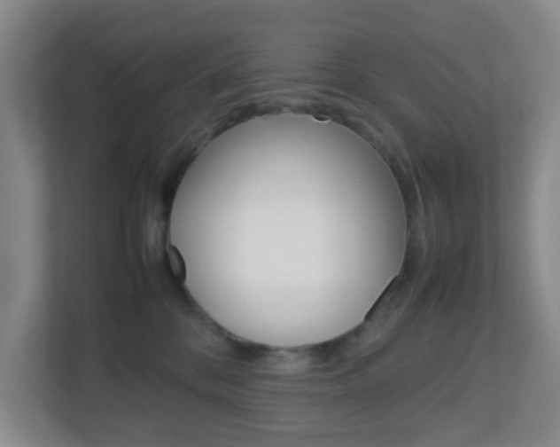 X0000113870328200909241011