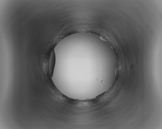 X0000113870332200909241011